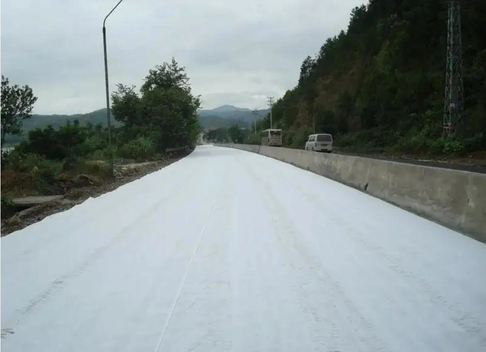 Tessuto non tessuto 80g-1000g di drenaggio del geotessuto del polipropilene bianco 0