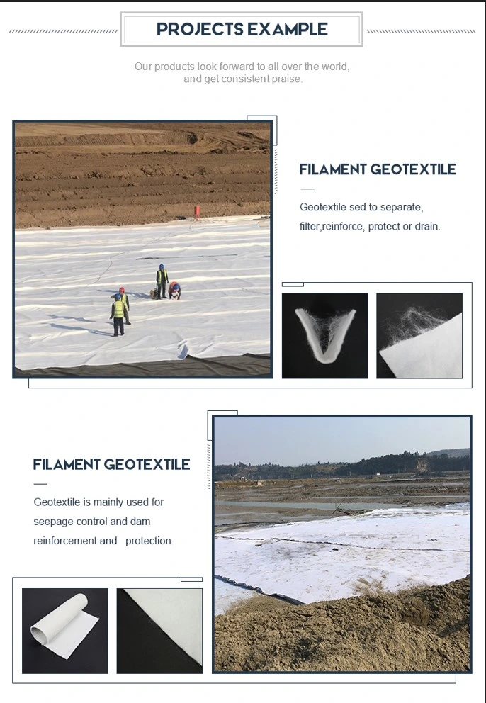 L'ago lungo del filamento della fibra ha perforato il geotessuto per il sottopiano della strada principale 2