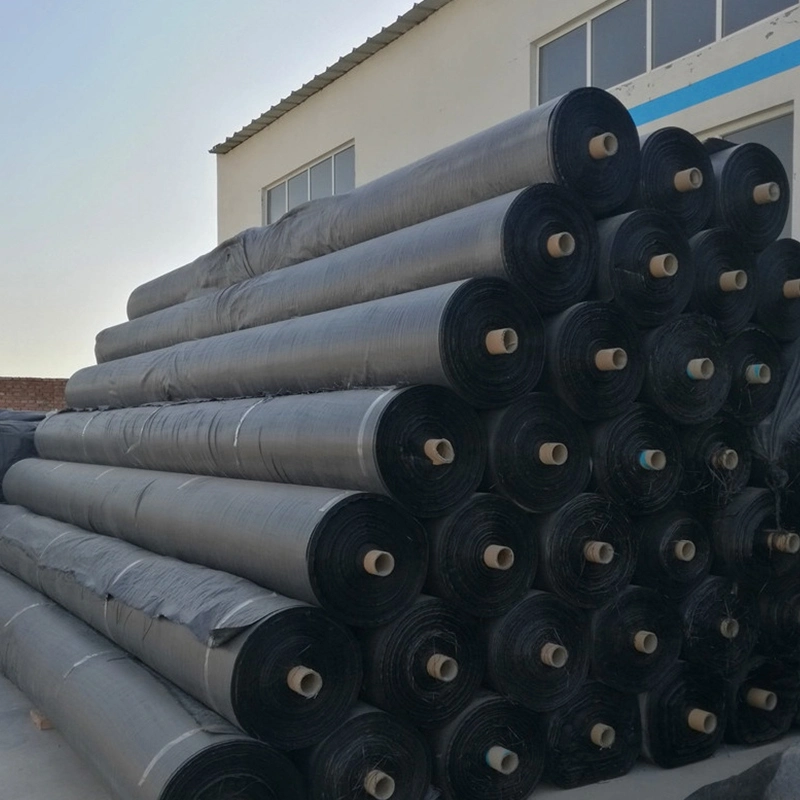 Geotessuto tessuto pp certificato di stabilizzazione del tessuto per il rinforzo del suolo 5