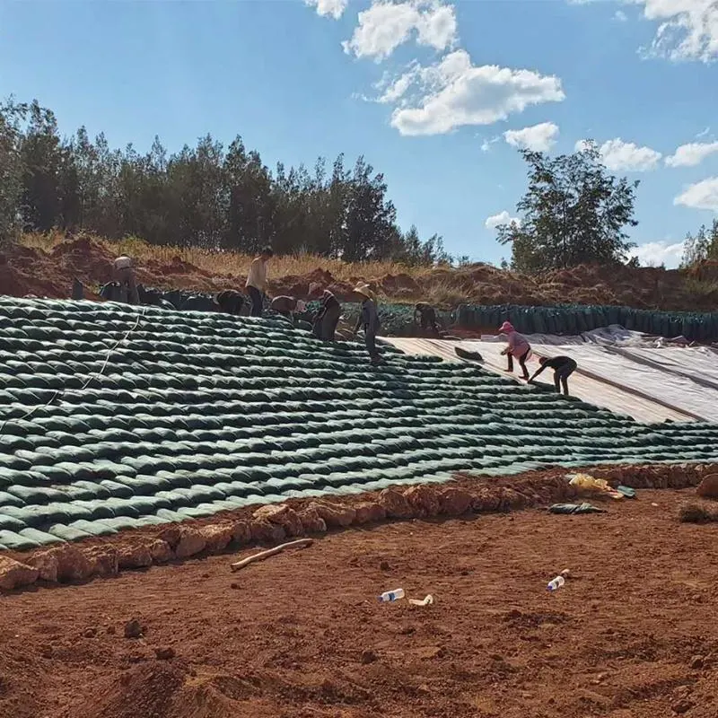 PP PET Geotextile Geobag per il controllo delle inondazioni Trattamento delle acque reflue Geotextile Bag 2