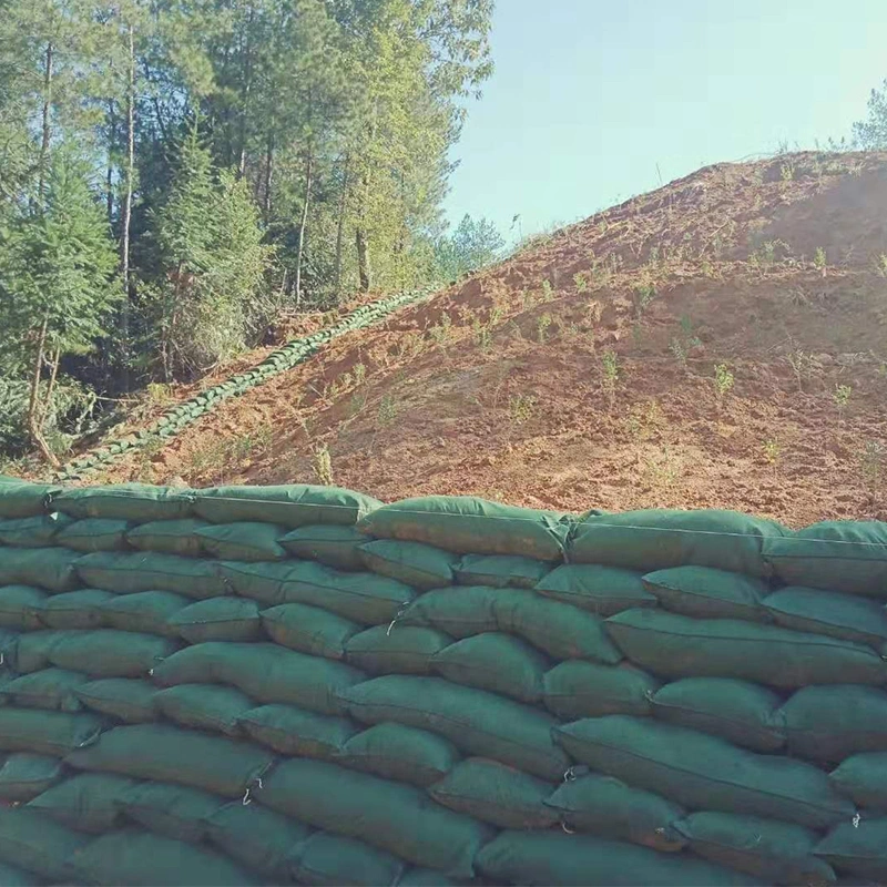 Geobag / sacchetto geotessile non tessuto / sacchetto ecologico per il ripristino ecologico 1