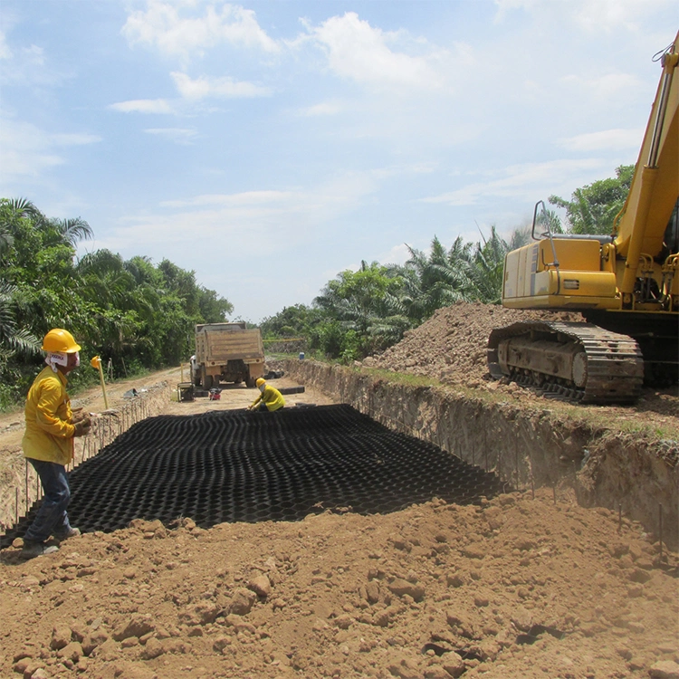 Griglia di terra di geocelle di plastica HDPE resistente alla corrosione utilizzata nella costruzione stradale 5
