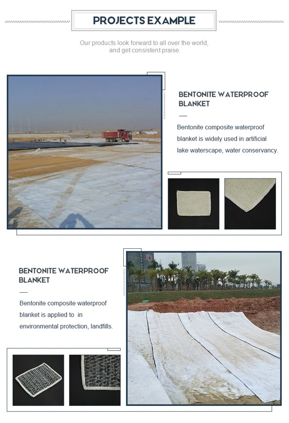 Liner di bentonite di sodio impermeabile Liner di argilla geosintetica per progetto di discarica 4