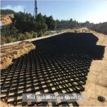 Geocelle stabili a pendenza perforate in HDPE nero geocelle per ingegneria civile 3
