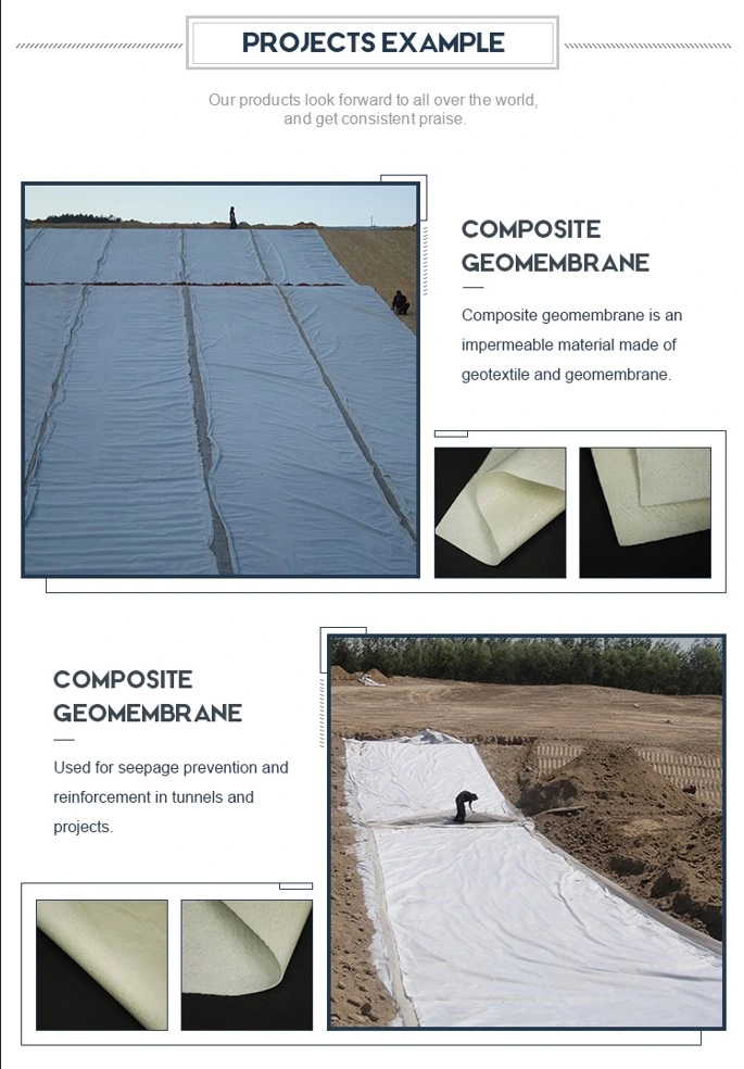 Geomembrana geotessile composita ad alta resistenza impermeabilizzante anti-siccatura 2