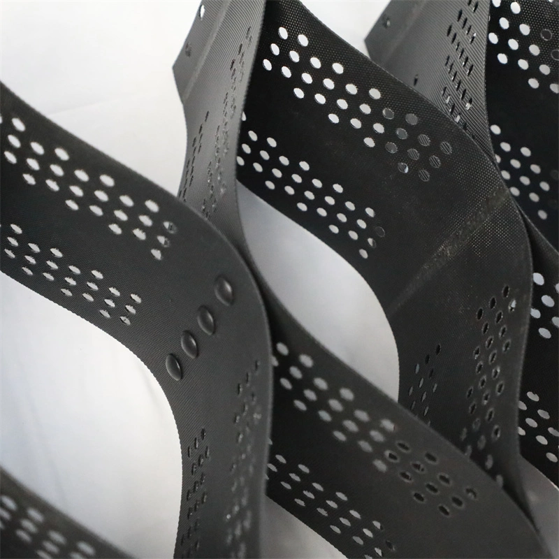 Sistema di materiale di griglia di ghiaia in HDPE Geocella testurizzata per il rinforzo stradale Pavimentazione a rete di erba 2