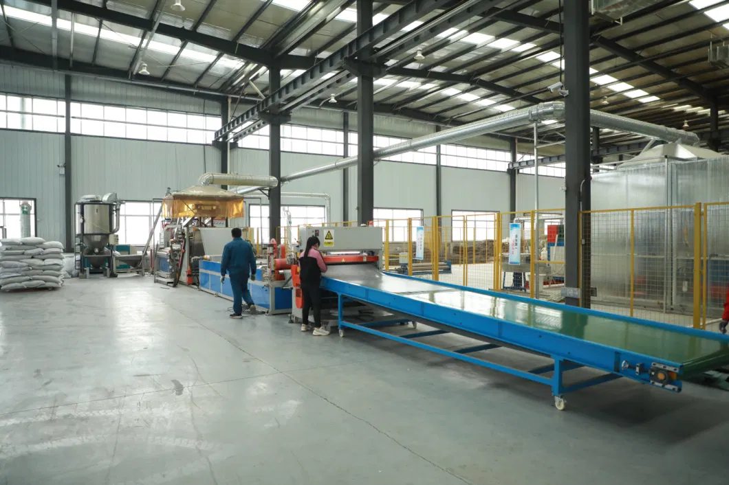 Sistema di materiale di griglia di ghiaia in HDPE Geocella testurizzata per il rinforzo stradale Pavimentazione a rete di erba 14