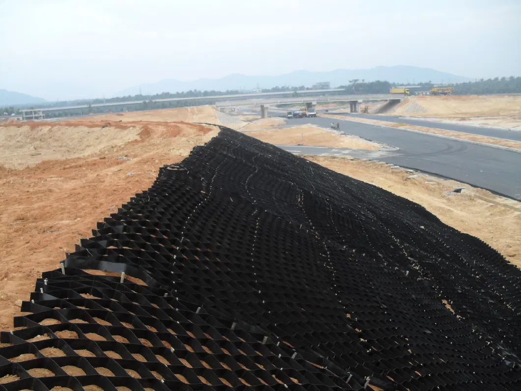 Sistema di materiale di griglia di ghiaia in HDPE Geocella testurizzata per il rinforzo stradale Pavimentazione a rete di erba 13