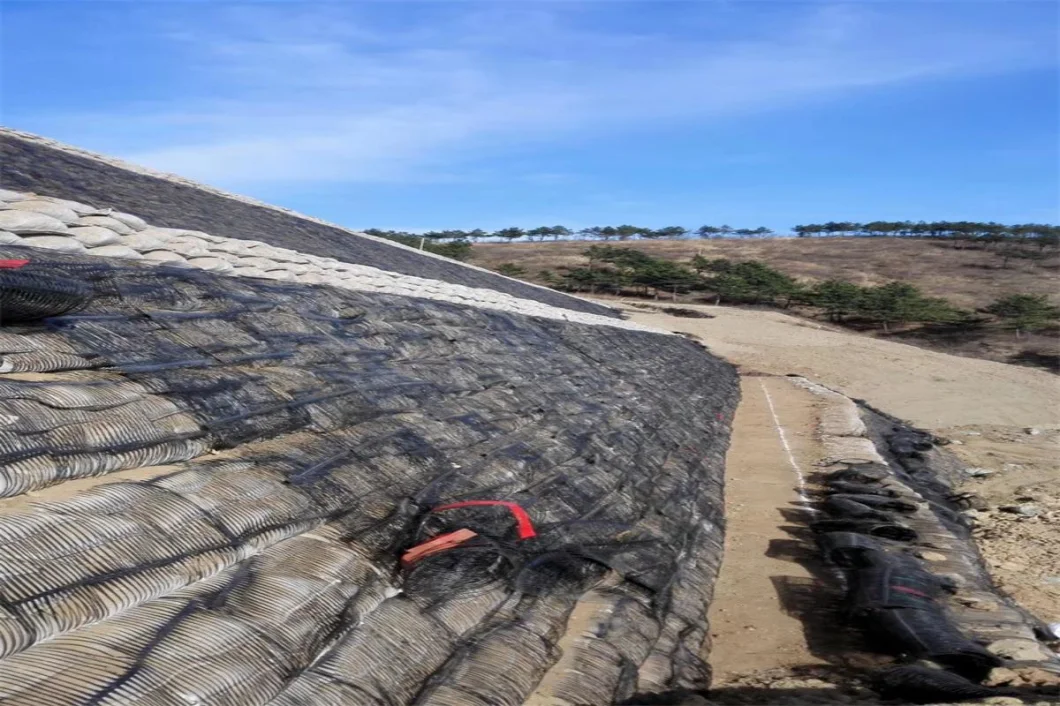 Griglia geologica Griglia di terra di plastica uniaxiale Poliester Griglia geologica uniaxiale Griglia di ghiaia Griglia di terra per il seminterrato del vialetto 0