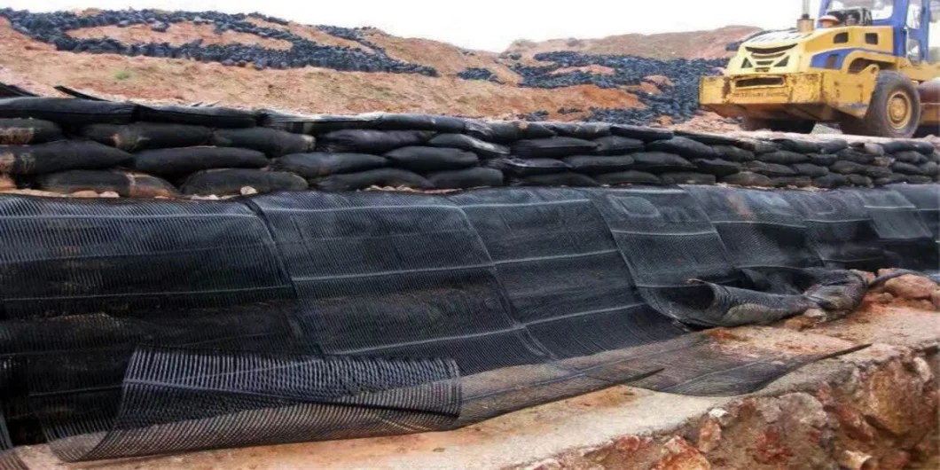 Griglia geologica Griglia di terra di plastica uniaxiale Poliester Griglia geologica uniaxiale Griglia di ghiaia Griglia di terra per il seminterrato del vialetto 1