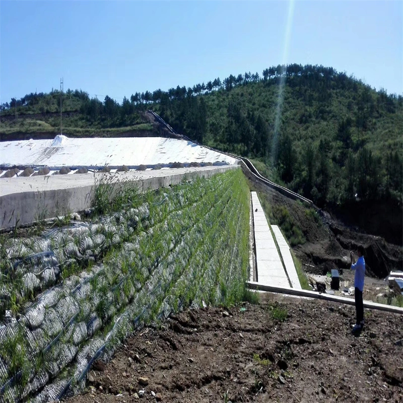 Griglia geologica Griglia di terra di plastica uniaxiale Poliester Griglia geologica uniaxiale Griglia di ghiaia Griglia di terra per il seminterrato del vialetto 11