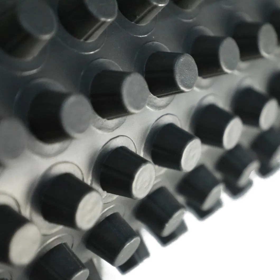 Progetto di rivestimento della membrana di drenaggio a fossette PVC Tavola di drenaggio a fossette perforata Lavoro di fondamento Soluzione idrica Soluzione idrica 8