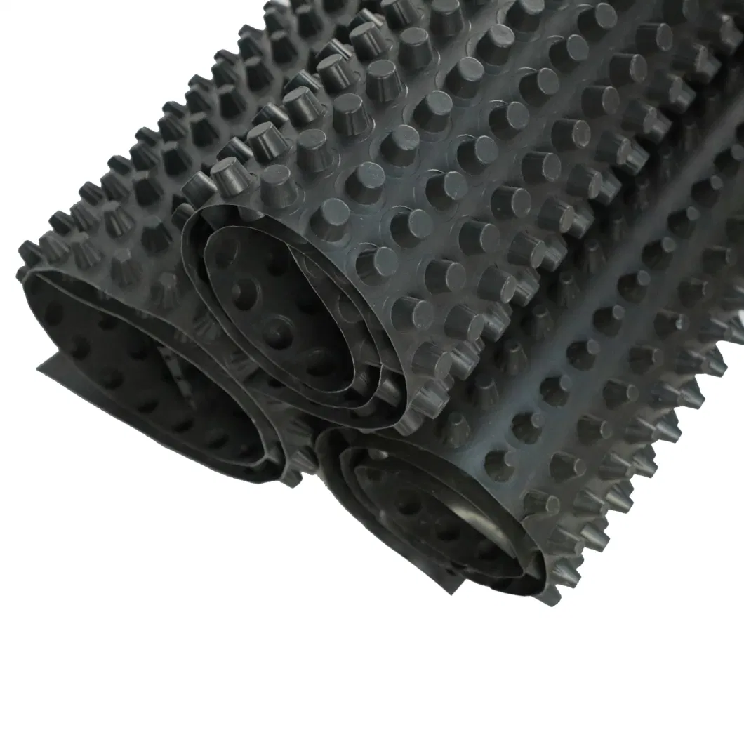Progetto di rivestimento della membrana di drenaggio a fossette PVC Tavola di drenaggio a fossette perforata Lavoro di fondamento Soluzione idrica Soluzione idrica 9