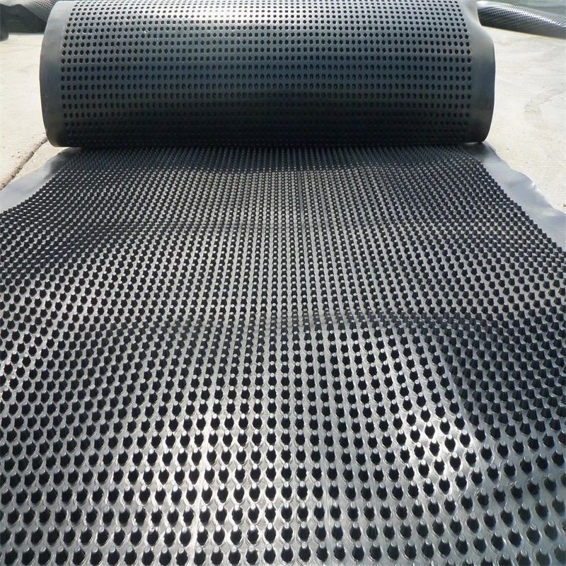 Progetto di rivestimento della membrana di drenaggio a fossette PVC Tavola di drenaggio a fossette perforata Lavoro di fondamento Soluzione idrica Soluzione idrica 10