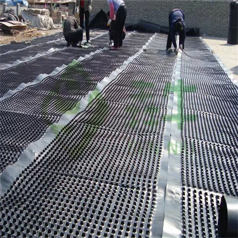 Progetto di rivestimento della membrana di drenaggio a fossette PVC Tavola di drenaggio a fossette perforata Lavoro di fondamento Soluzione idrica Soluzione idrica 15