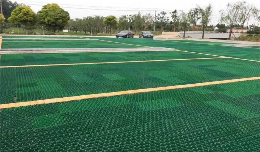 Griglia stabilizzatrice di prato in HDPE per parcheggio, tetto esterno, giardino, pavimenti permeabili, interconnessione 13