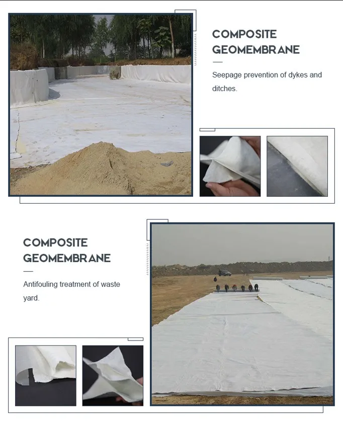Due strati e una pellicola serbatoio controllo delle perdite geomembrana composita nel trattamento dei rifiuti delle discariche 3