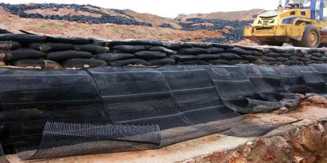 Stabilizzatore di terra a griglia di poliestere geogrid unidirezionale in plastica di PP PE per il rinforzo del suolo 1
