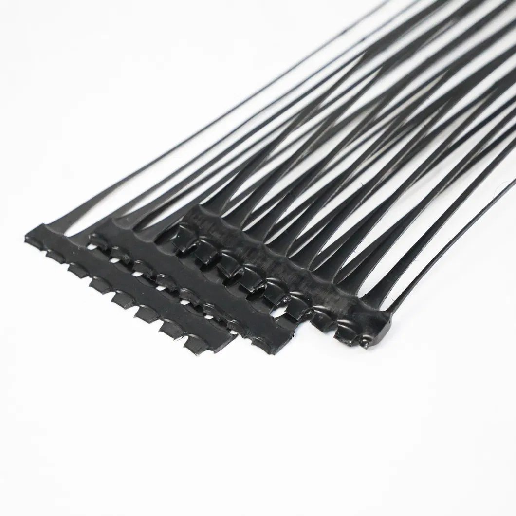 Stabilizzatore di terra a griglia di poliestere geogrid unidirezionale in plastica di PP PE per il rinforzo del suolo 4