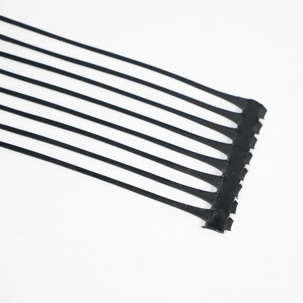 Stabilizzatore di terra a griglia di poliestere geogrid unidirezionale in plastica di PP PE per il rinforzo del suolo 6