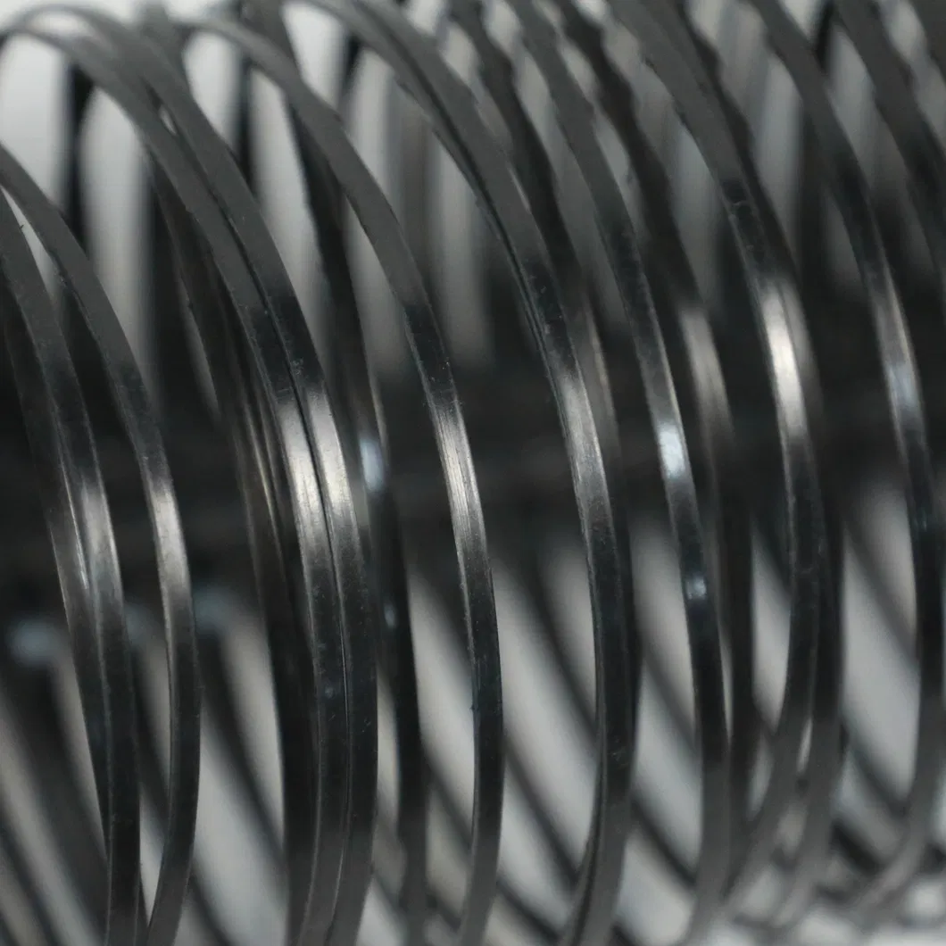 Stabilizzatore di terra a griglia di poliestere geogrid unidirezionale in plastica di PP PE per il rinforzo del suolo 5