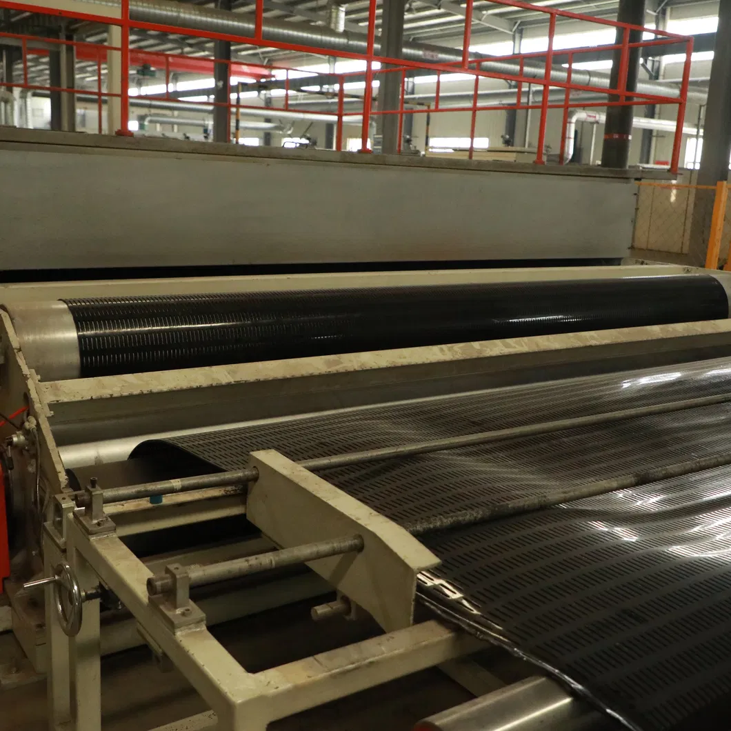 Stabilizzatore di terra a griglia di poliestere geogrid unidirezionale in plastica di PP PE per il rinforzo del suolo 19