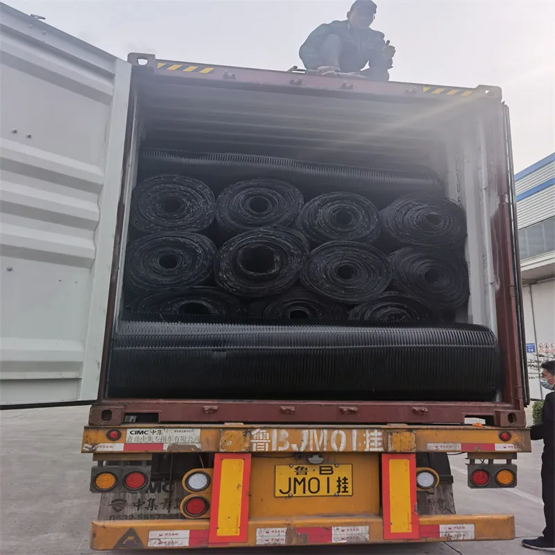 Stabilizzatore di terra a griglia di poliestere geogrid unidirezionale in plastica di PP PE per il rinforzo del suolo 20