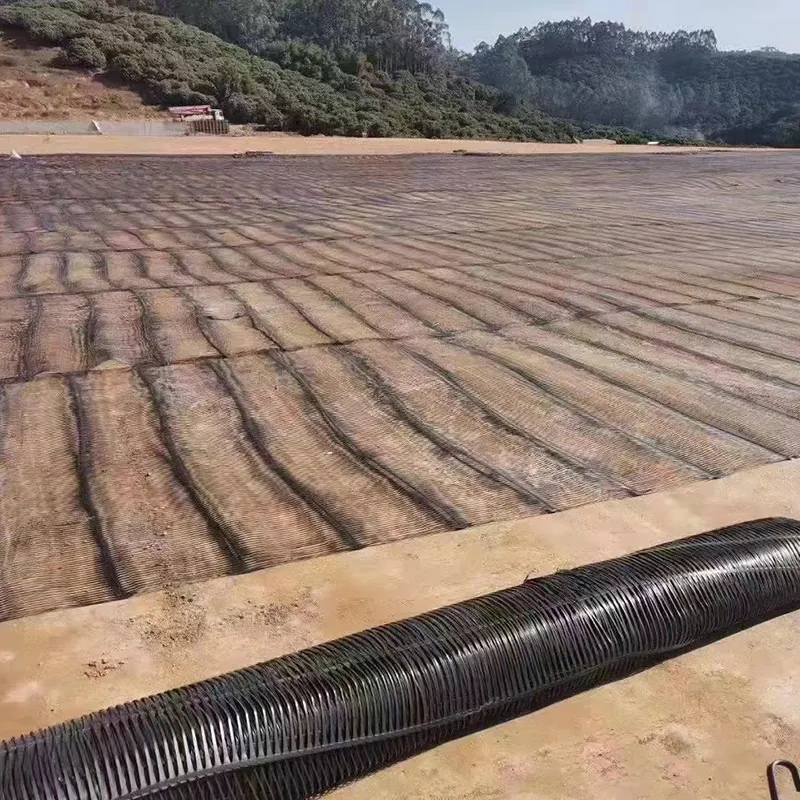 Plastico polipropilene PE unidirezionale uniaxiale di trazione Geogrid di plastica per il rinforzo del pavimento stradale 4