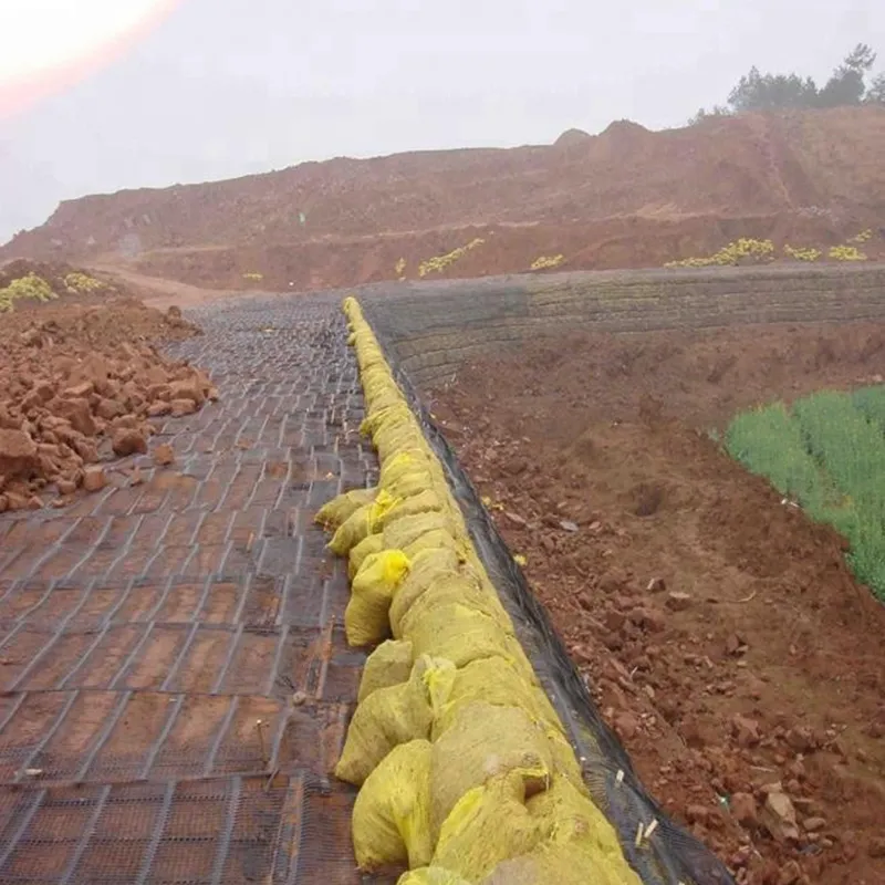 Plastico polipropilene PE unidirezionale uniaxiale di trazione Geogrid di plastica per il rinforzo del pavimento stradale 5