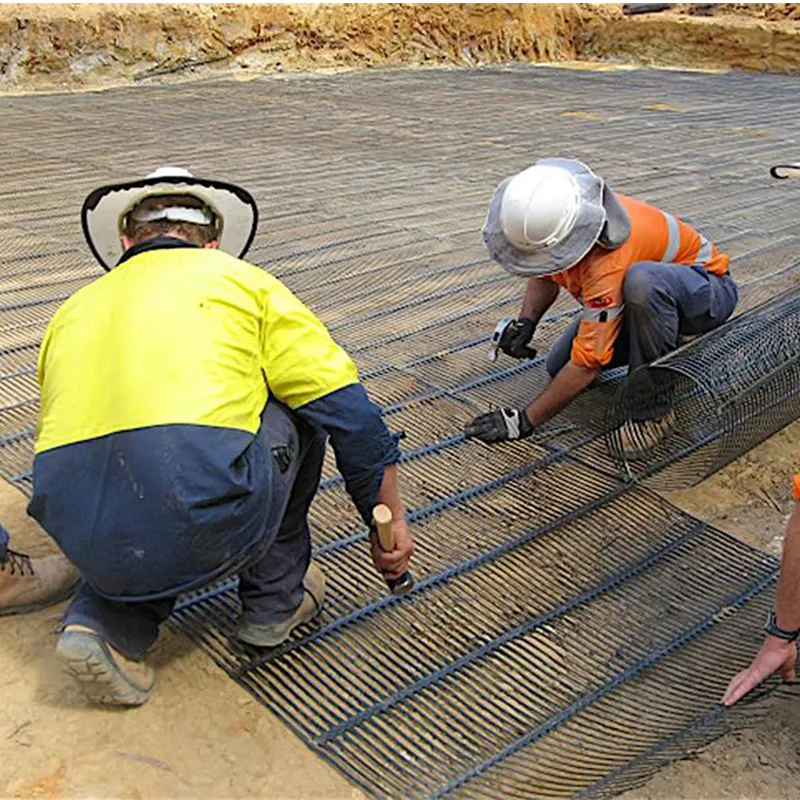 Plastico polipropilene PE unidirezionale uniaxiale di trazione Geogrid di plastica per il rinforzo del pavimento stradale 6
