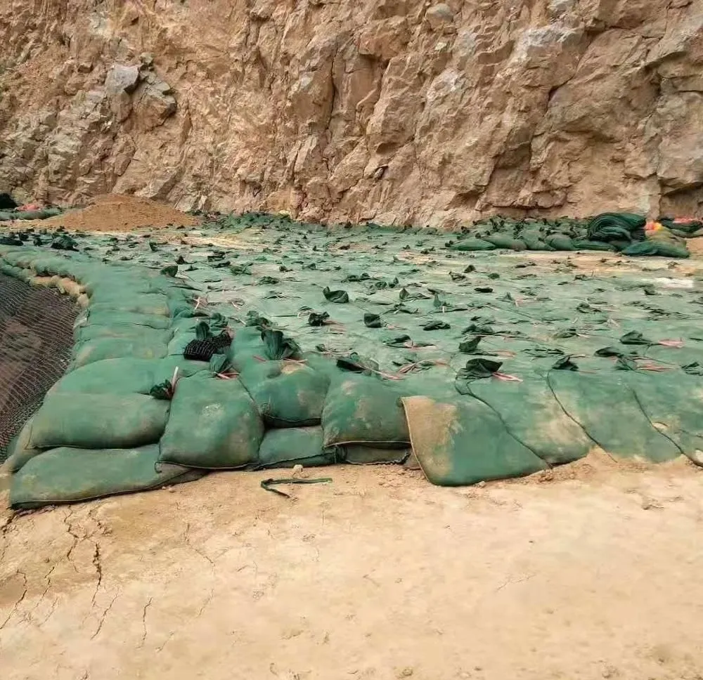 Geosacca geotessile industriale 40*80cm per la protezione delle scarpate autostradali, per l'afforestazione, la piantumazione di erba e il controllo delle inondazioni 6