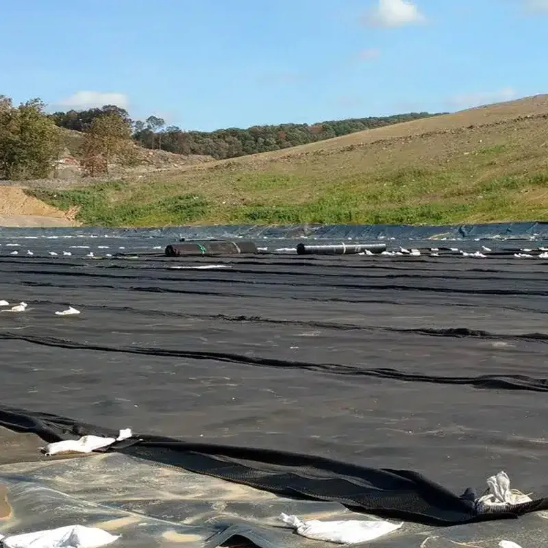 Prezzo di fabbrica 100% vergine Polietilene ad alta densità anti-siqueazione impermeabile liscia di texture HDPE Geomembrana rivestimento stagno per discarica miniera diga Acqua lago rivestimento stagno 0