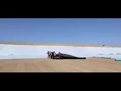 Geomembrane composito