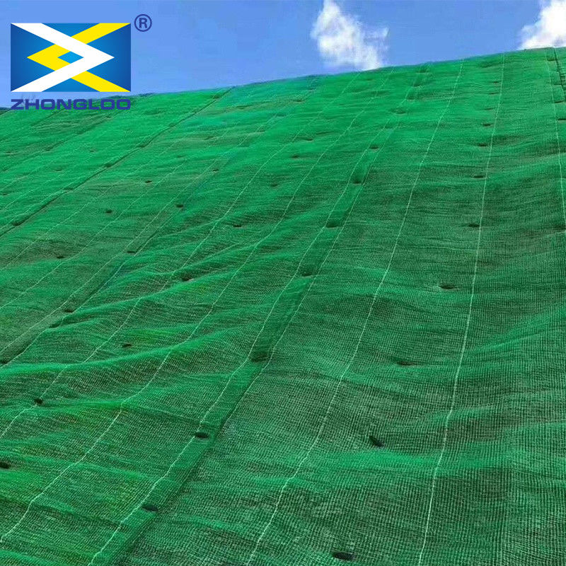 Tre strati di 3D di plastica hanno rinforzato il drenaggio Mat For Slope Erosion Control di Geomat