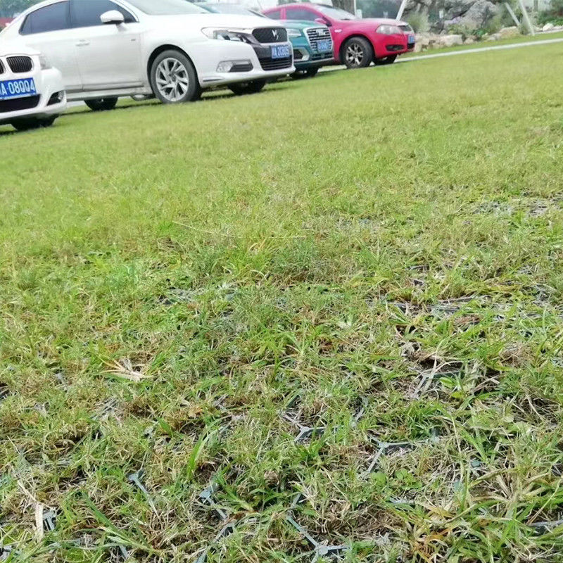 griglia di plastica di collegamento di parcheggio dell'automobile del tappeto erboso 200ton/Sqm per il rinforzo del parcheggio