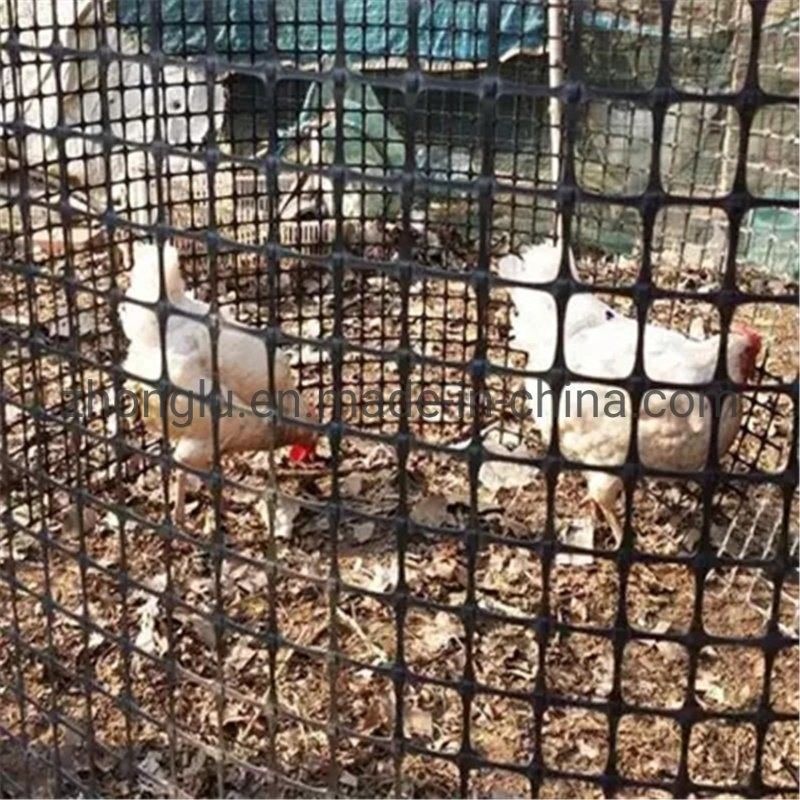 Poliestere ad alta resistenza Geogrid per gli argini basali ed il rinforzo delle pareti del pendio del suolo