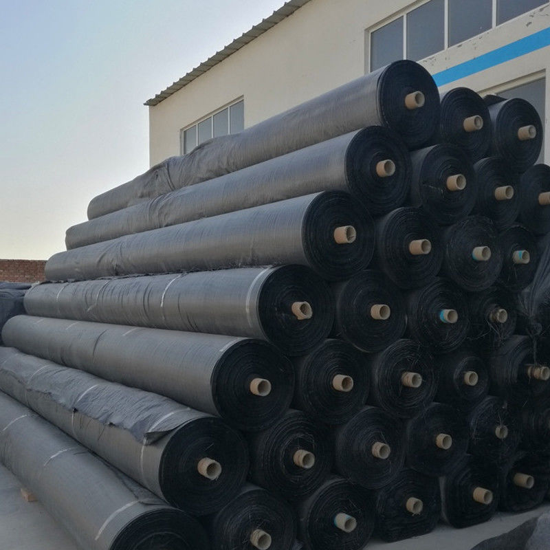Tessuto di Geogrid del geotessuto di stabilizzazione pp per il prodotto di rinforzo del suolo