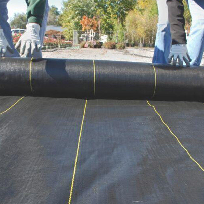 Tessuto di Geogrid del geotessuto di stabilizzazione pp per il prodotto di rinforzo del suolo