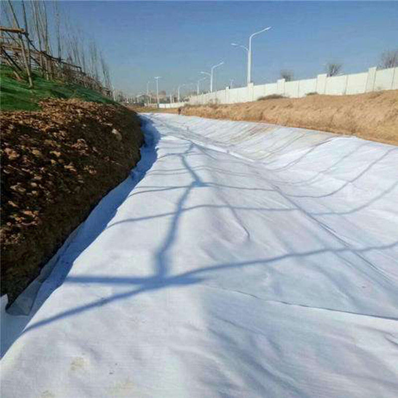 Materiale Geosintetico ad alta resistenza Autostrada Pavimentazione Strada Costruzione PP PET Fibra non tessuta Geotessile Prezzo