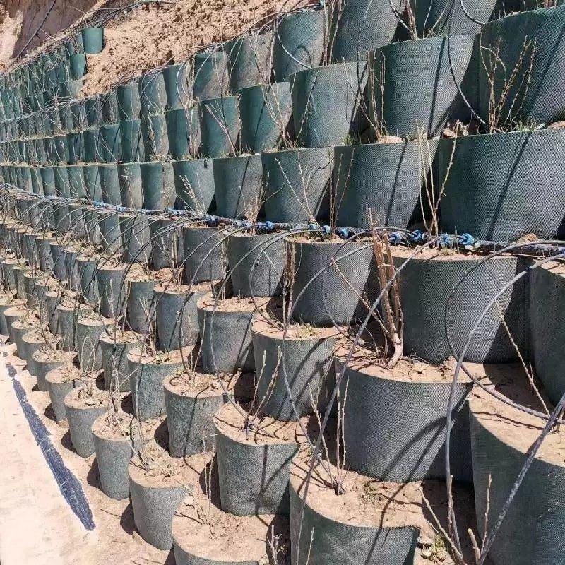 Griglia di terra di geocelle di plastica HDPE resistente alla corrosione utilizzata nella costruzione stradale