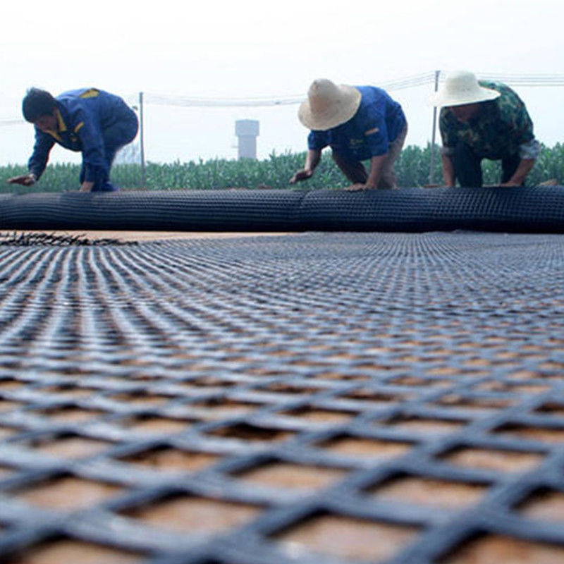 Geogrid in acciaio e plastica da 80kn con resistenza agli acidi e alle alcaline per la protezione dei pendii
