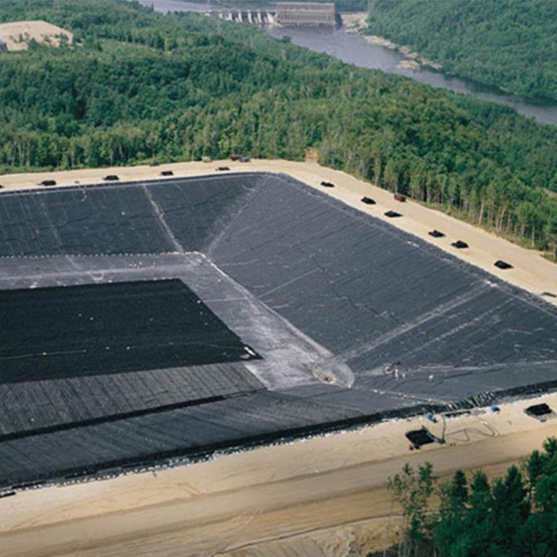 0.3mm/0.5mm/0.75mm/1mm/1.5mm/2mm Carta di plastica a membrana nera HDPE LDPE LLDPE Vergine Geomembrane Liner per pesci gamberetti F