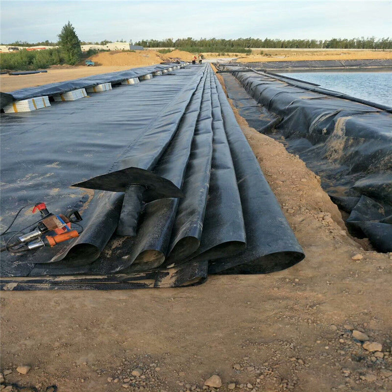0.3mm/0.5mm/0.75mm/1mm/1.5mm/2mm Carta di plastica a membrana nera HDPE LDPE LLDPE Vergine Geomembrane Liner per pesci gamberetti F