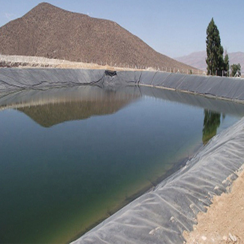 0.3mm/0.5mm/0.75mm/1mm/1.5mm/2mm Carta di plastica a membrana nera HDPE LDPE LLDPE Vergine Geomembrane Liner per pesci gamberetti F