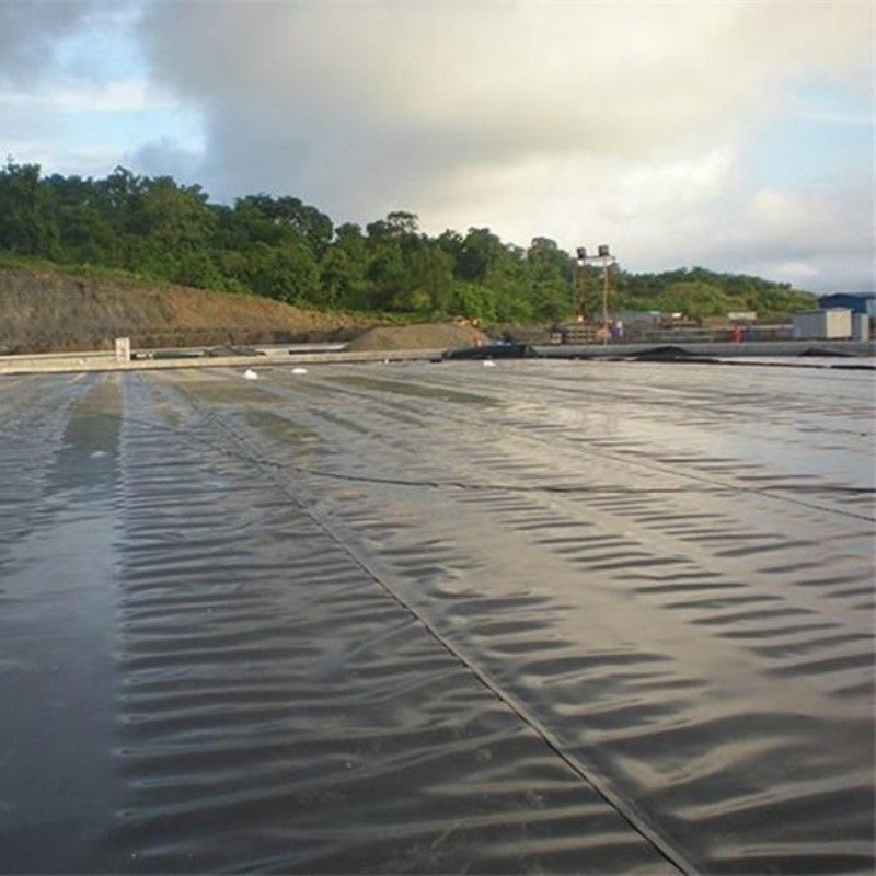 0.5mm 1mm 1.5mm Plastico impermeabile Acquicoltura Geomembrana Hdpe Liner Pescificio Ingrosso Geomembrana Pond Liner
