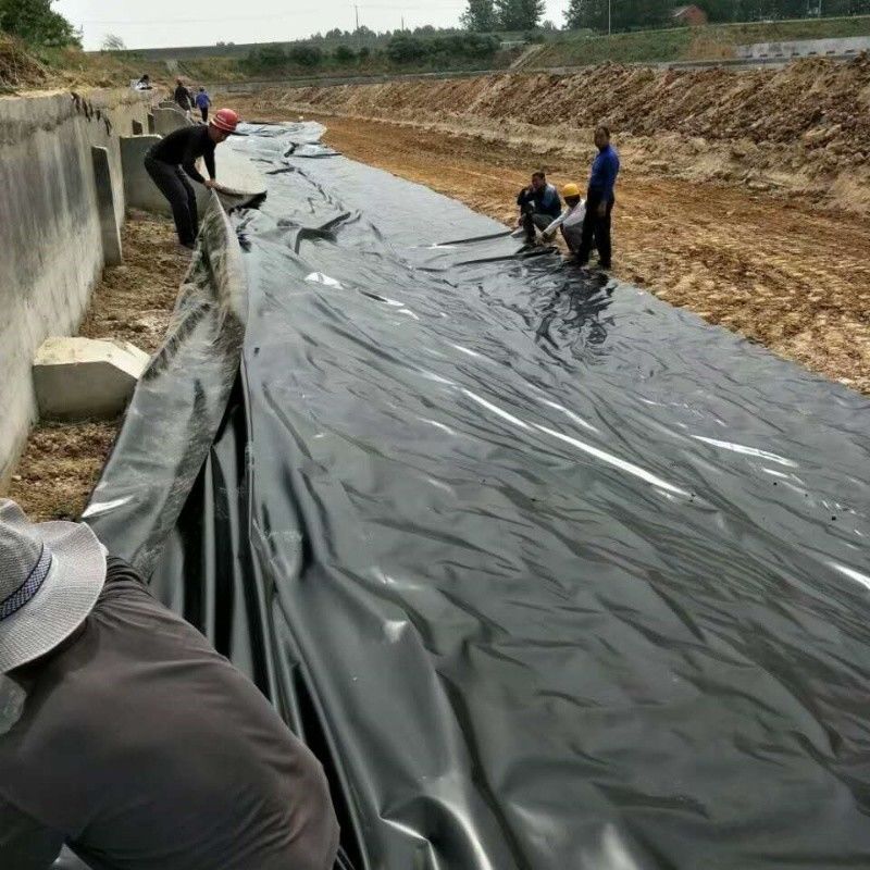 0.5mm 1mm 1.5mm Plastico impermeabile Acquicoltura Geomembrana Hdpe Liner Pescificio Ingrosso Geomembrana Pond Liner