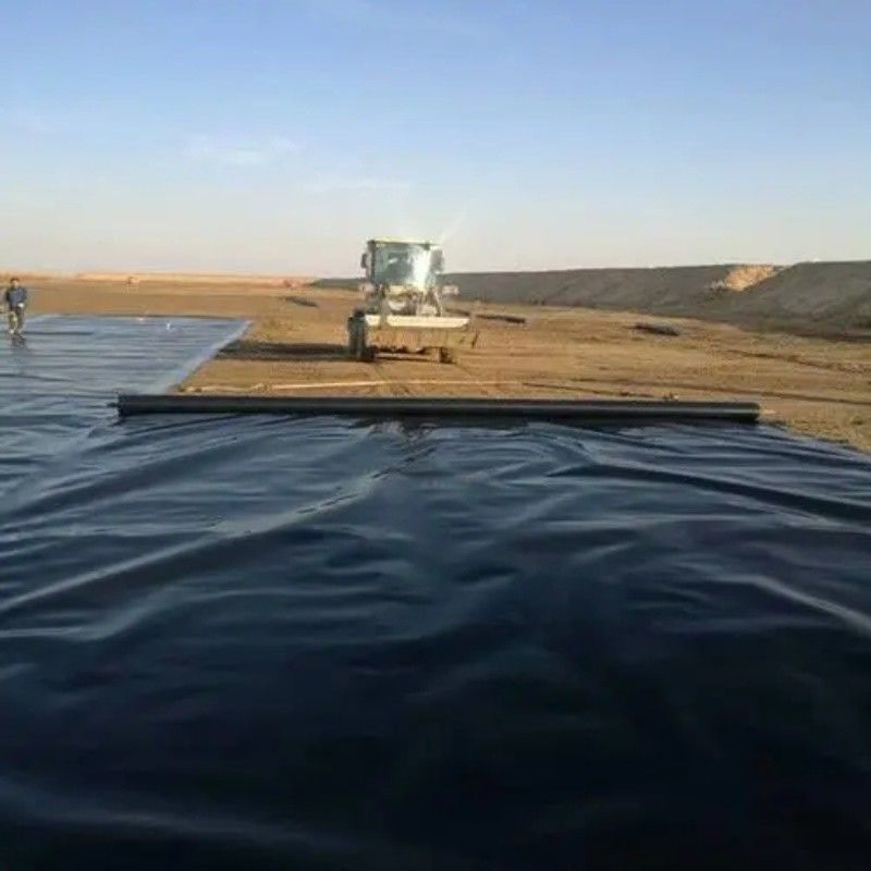Liner impermeabilizzante a geomembrana in HDPE / Liner per piscina / Digestore di biogas per discariche di materiali da costruzione stradale Georid
