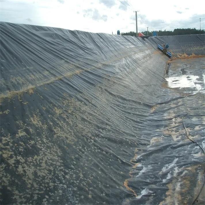 Liner impermeabilizzante a geomembrana in HDPE / Liner per piscina / Digestore di biogas per discariche di materiali da costruzione stradale Georid