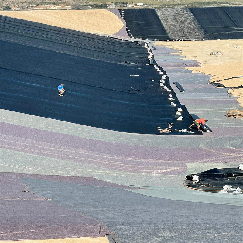 Liner impermeabilizzante a geomembrana in HDPE / Liner per piscina / Digestore di biogas per discariche di materiali da costruzione stradale Georid