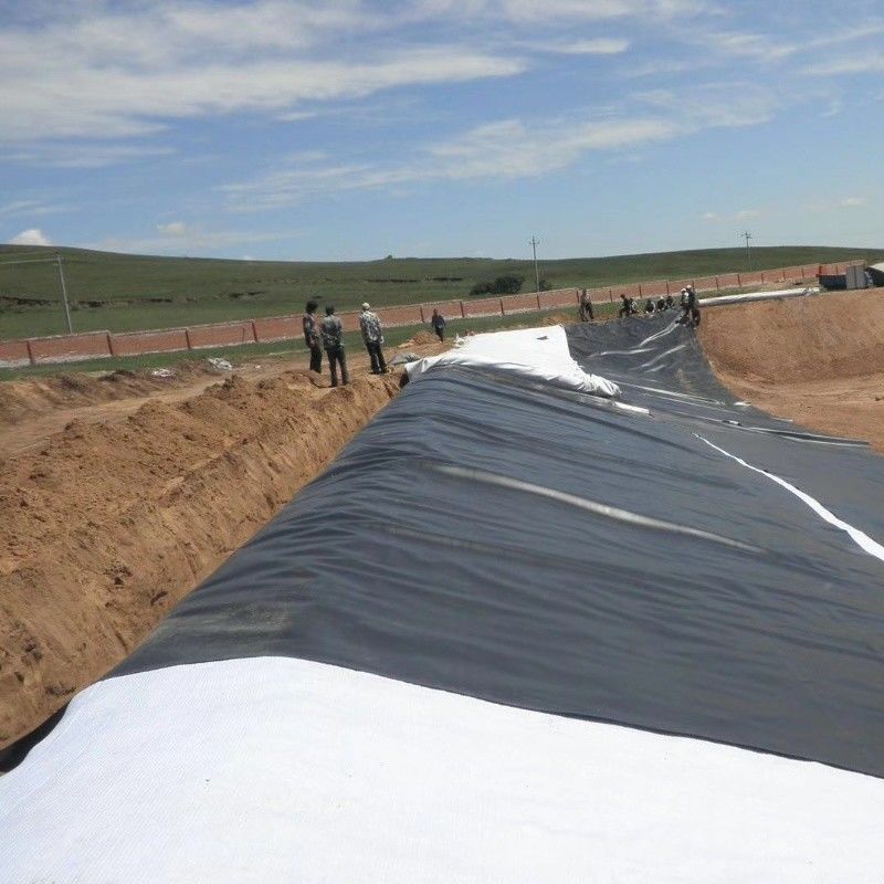 Liner impermeabilizzante a geomembrana in HDPE / Liner per piscina / Digestore di biogas per discariche di materiali da costruzione stradale Georid